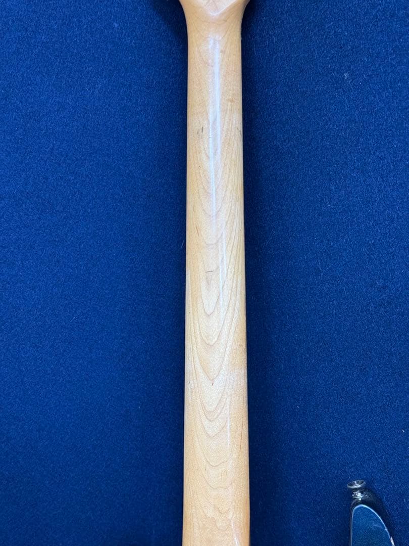 FERNANDES フェルナンデス エレキギター SUSTAINER