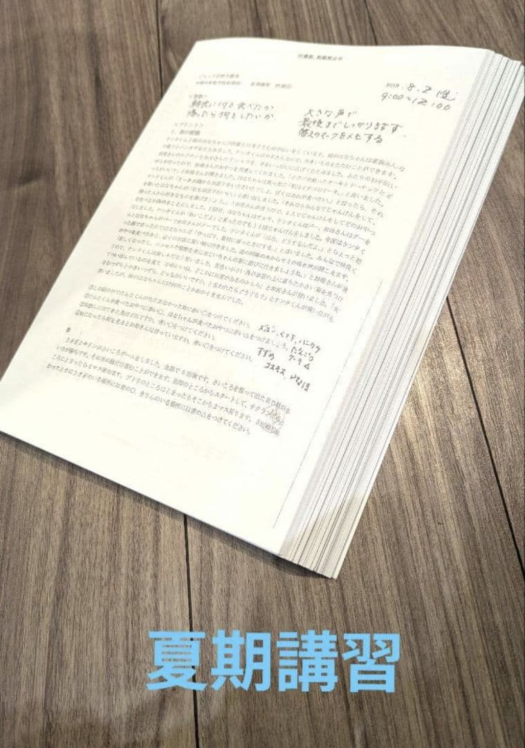 【希少・貴重】早稲田実業学校初等部　対策フルセット　ジャック