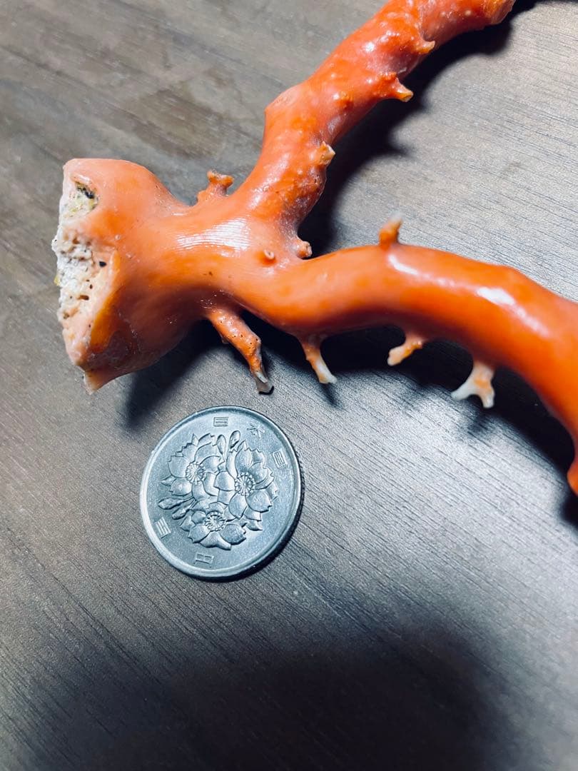 本珊瑚　珊瑚原木　宝石珊瑚　置物　桃珊瑚　赤珊瑚　コーラル　ルース　研磨済