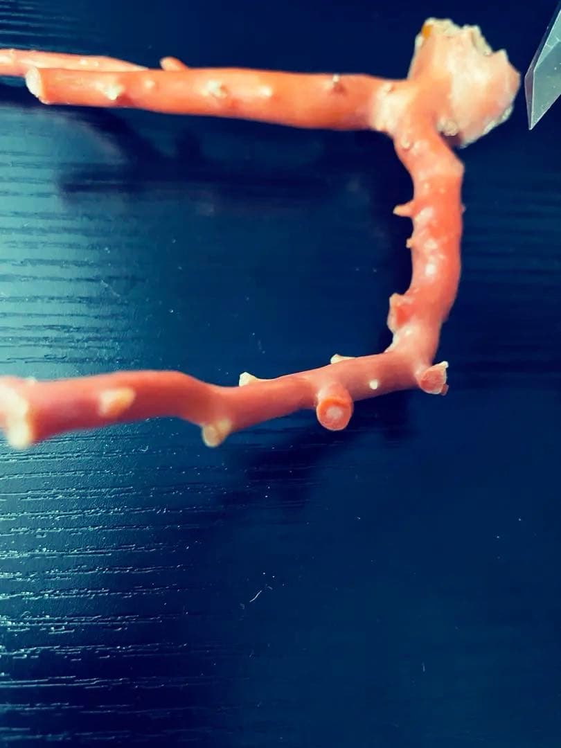 本珊瑚　珊瑚原木　宝石珊瑚　置物　桃珊瑚　赤珊瑚　コーラル　ルース　研磨済