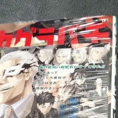 カグラバチ1巻～4巻特典付き(1巻初版ではありません　2巻～4巻初版) 帯付