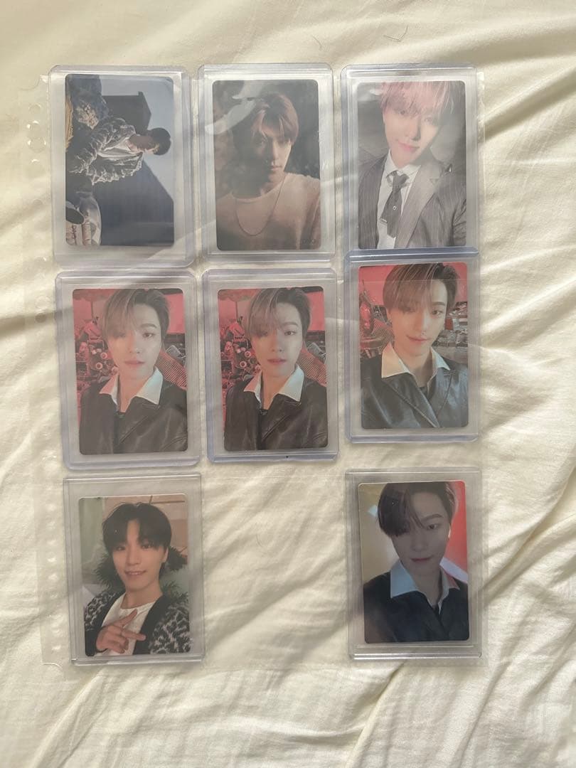 セブチ　ディノ　トレカ