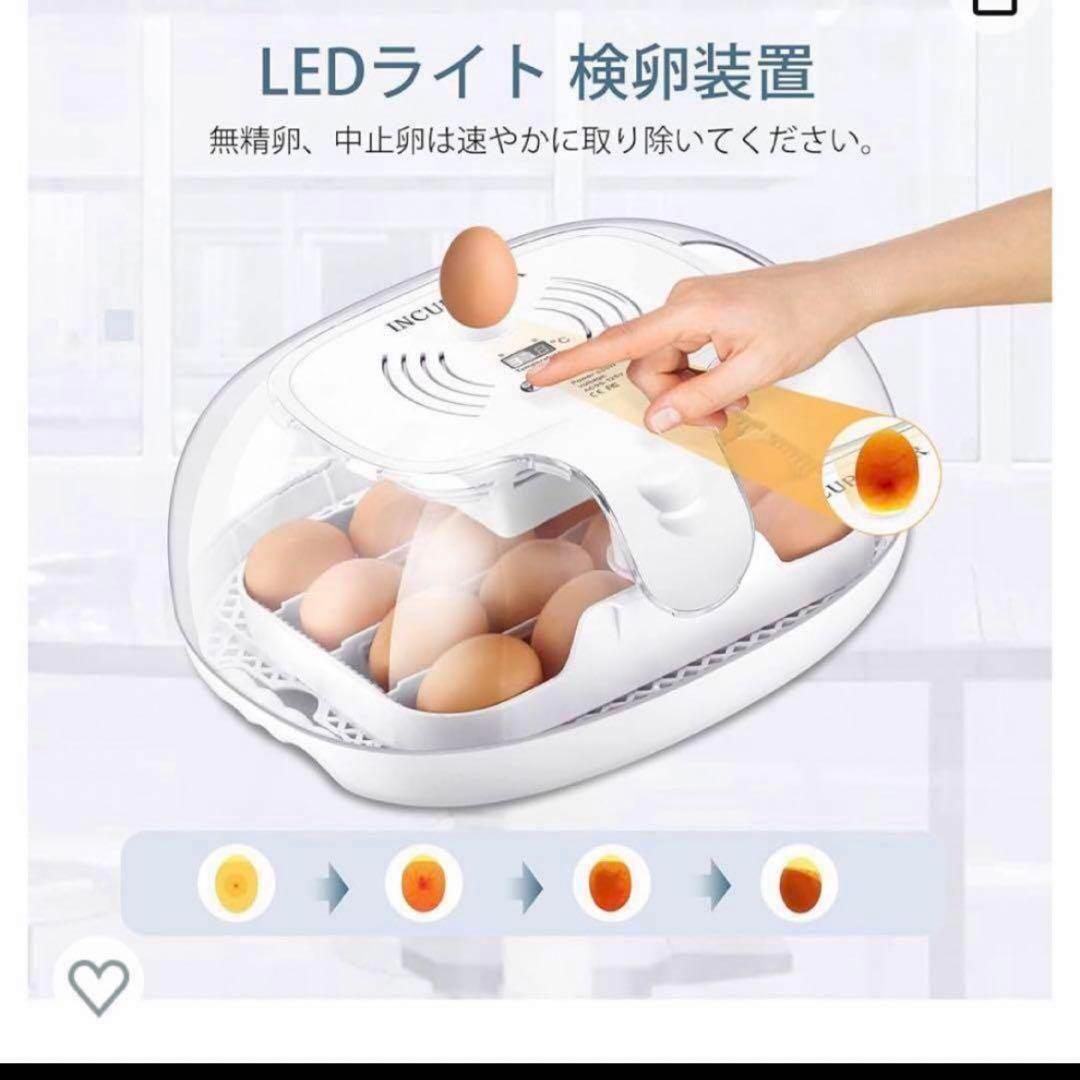 INCUBATOR自動孵卵器 透明蓋 検卵装置付き 自動転卵 ひよこ