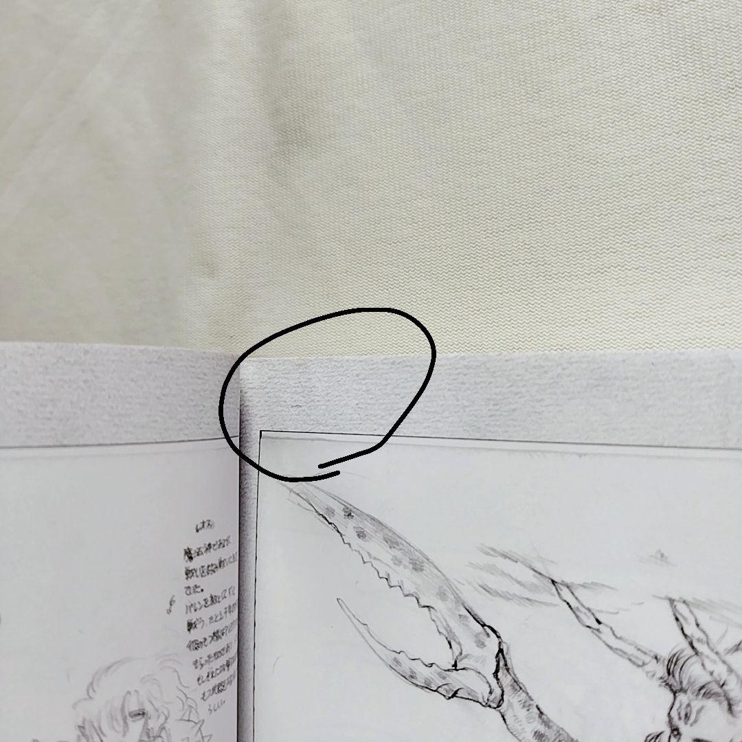 【エコメル便限定】織音計画限定版　ALICESOFT　希少品　画集　アートワーク