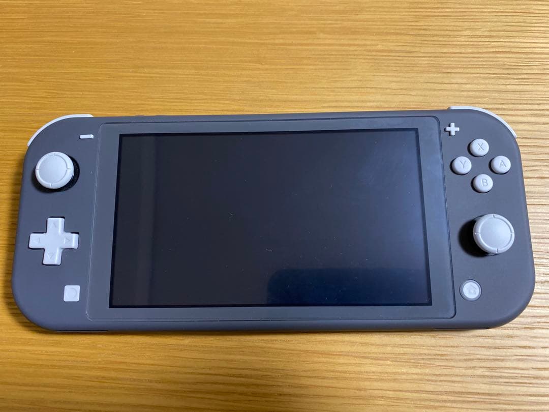 【美品】Nintendo Switch Lite グレー 本体 充電器