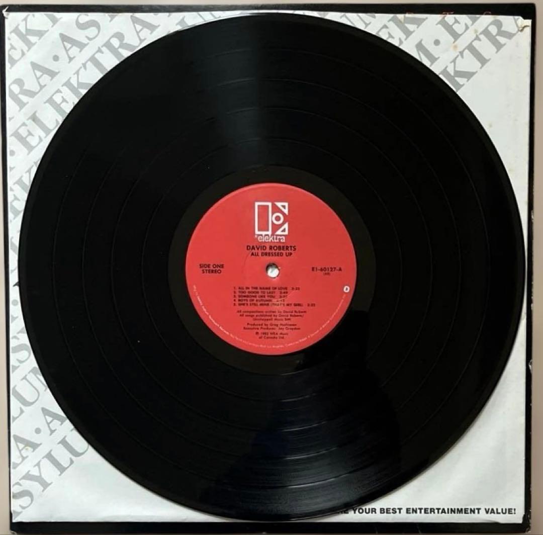 AOR LP6枚 ディンドナヒュー デビッドロバーツ ペイジス スティーブギブ他