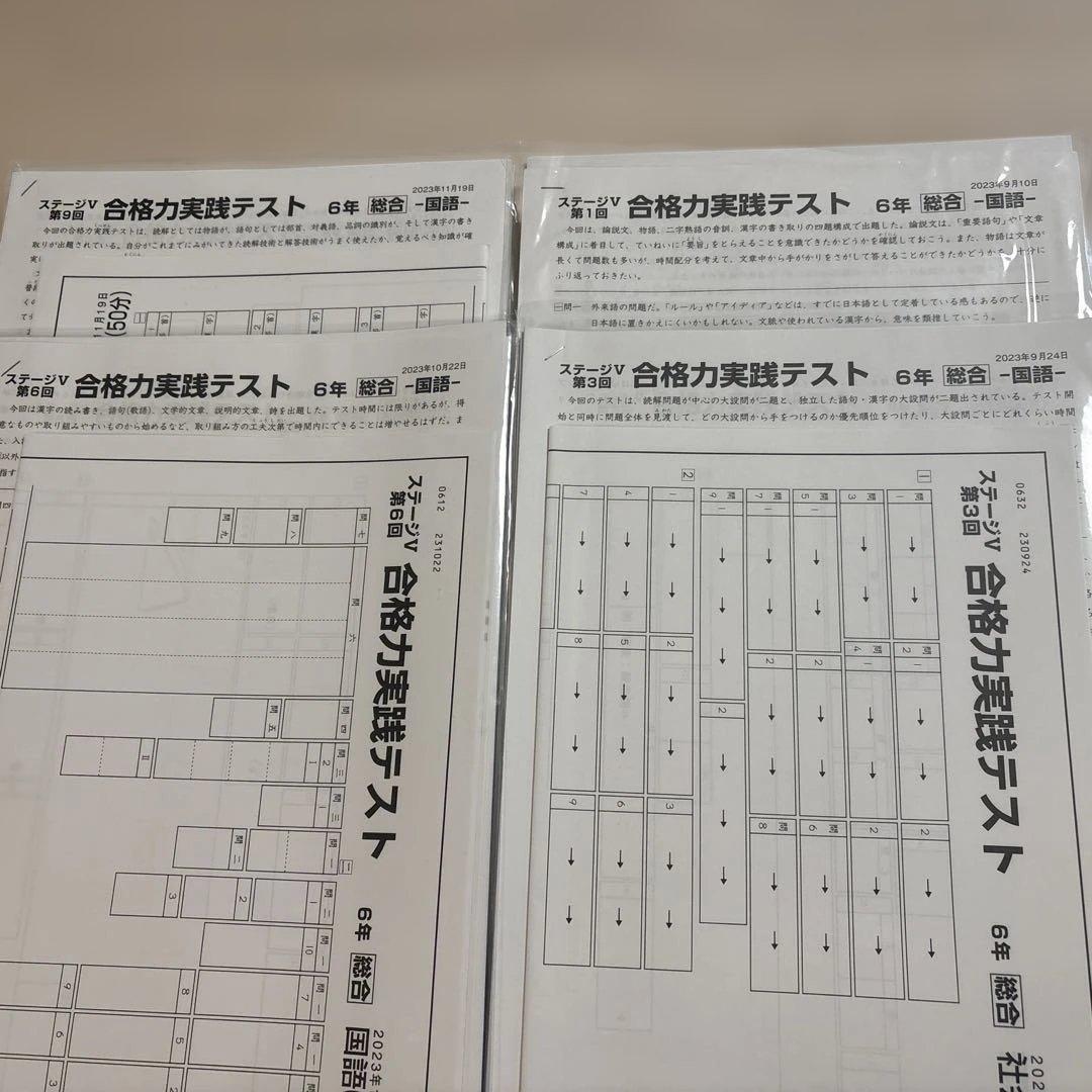日能研6年　合格力育成テスト　合格力実践テスト　11回分　未使用含む