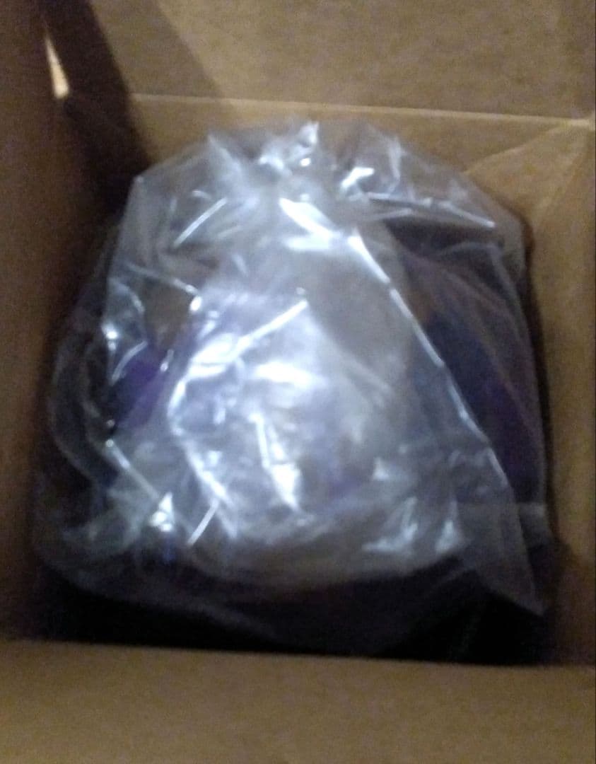 ☆フィジックスエラ☆15ポンド☆ 新品未使用☆