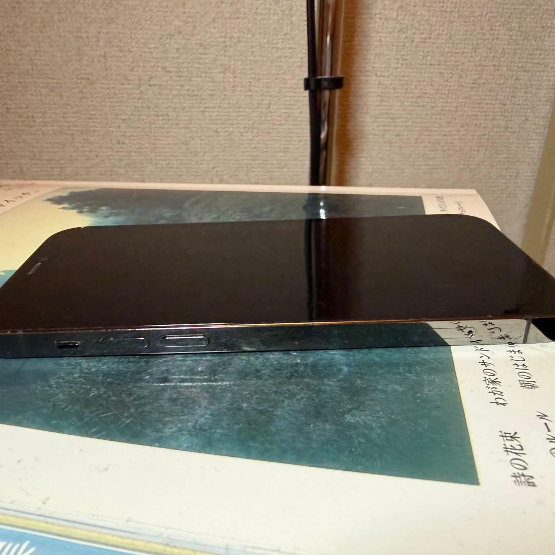 Apple iPhone 12 Pro 256gb グラファイト本体SIMフリー