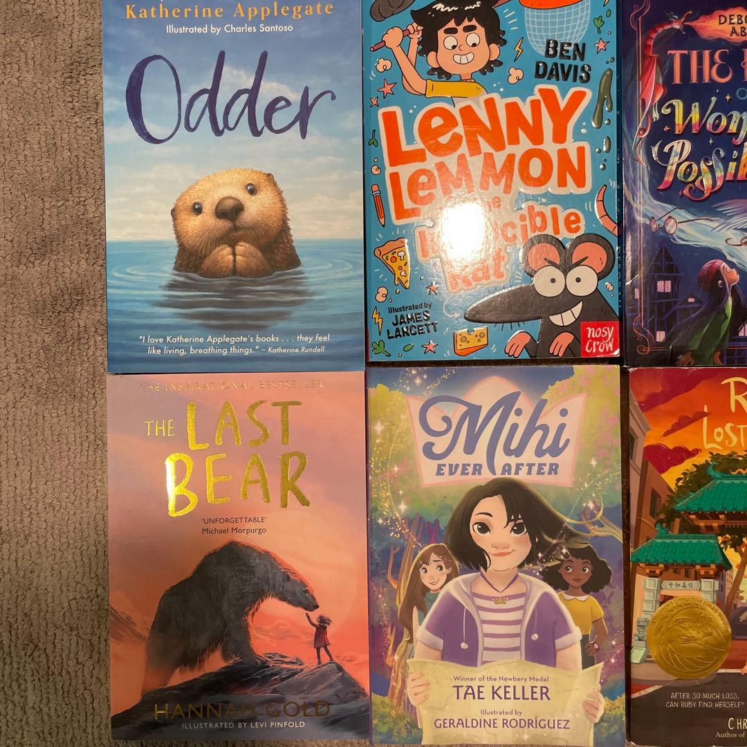 洋書　学校図書推薦　12冊セット売り