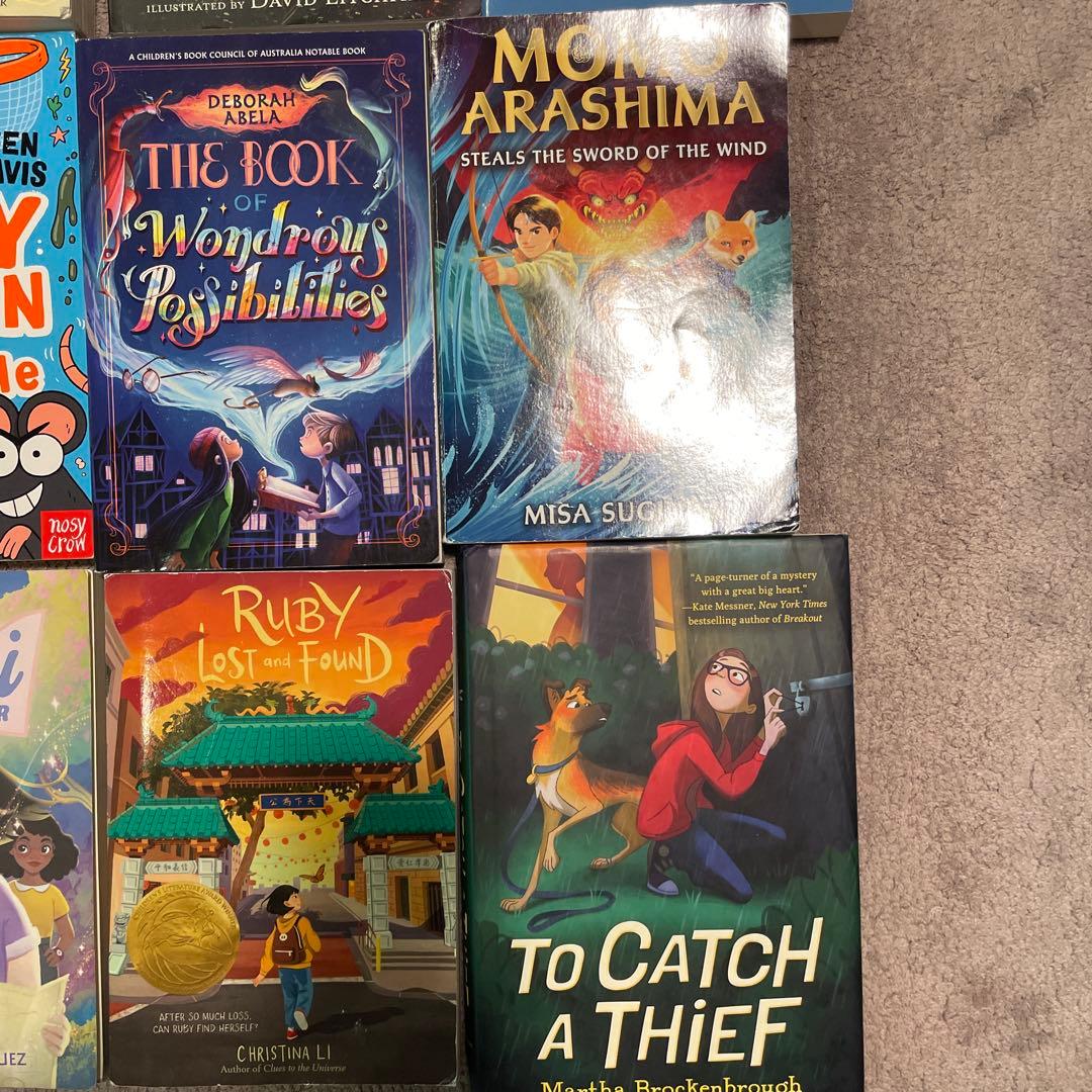 洋書　学校図書推薦　12冊セット売り