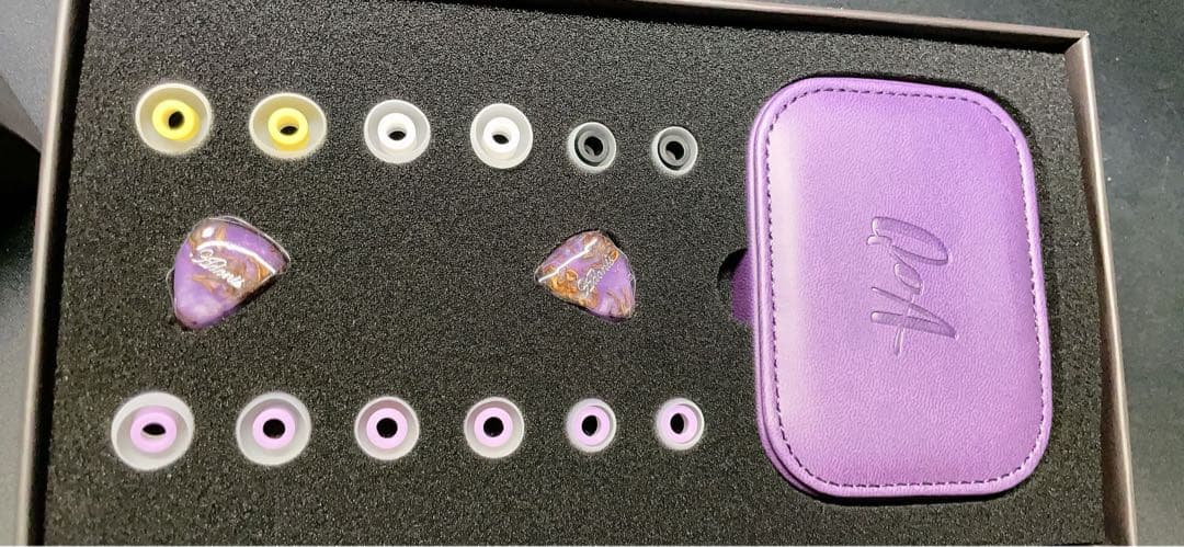 【超美品】QoA Adonis New イヤホン Queen of Audio