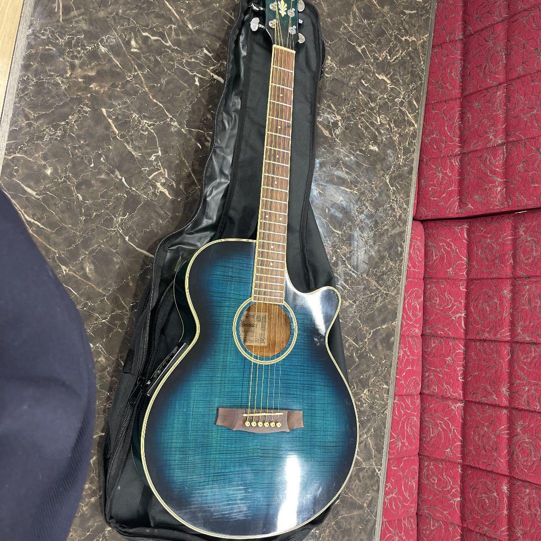 Ibanez アイバニーズ エレアコギター AEG-450MS E ケース付き