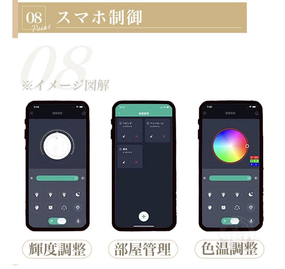 シーリングファンライト