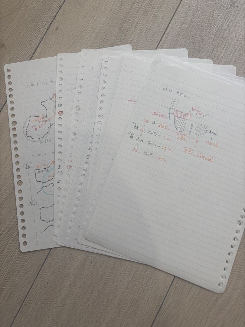 代々木ゼミナール　ハイレベル世界史問題演習 2冊セット　代ゼミ　世界史　佐藤幸雄