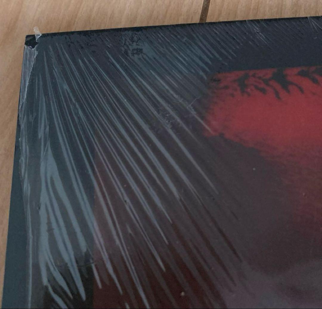 激レア Courtney Barnett コートニーバーネット REDVINYL