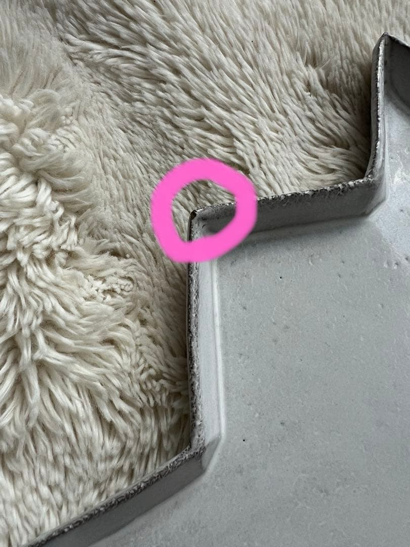 アスティエ・ド・ヴィラット　エトワール　ディナープレート