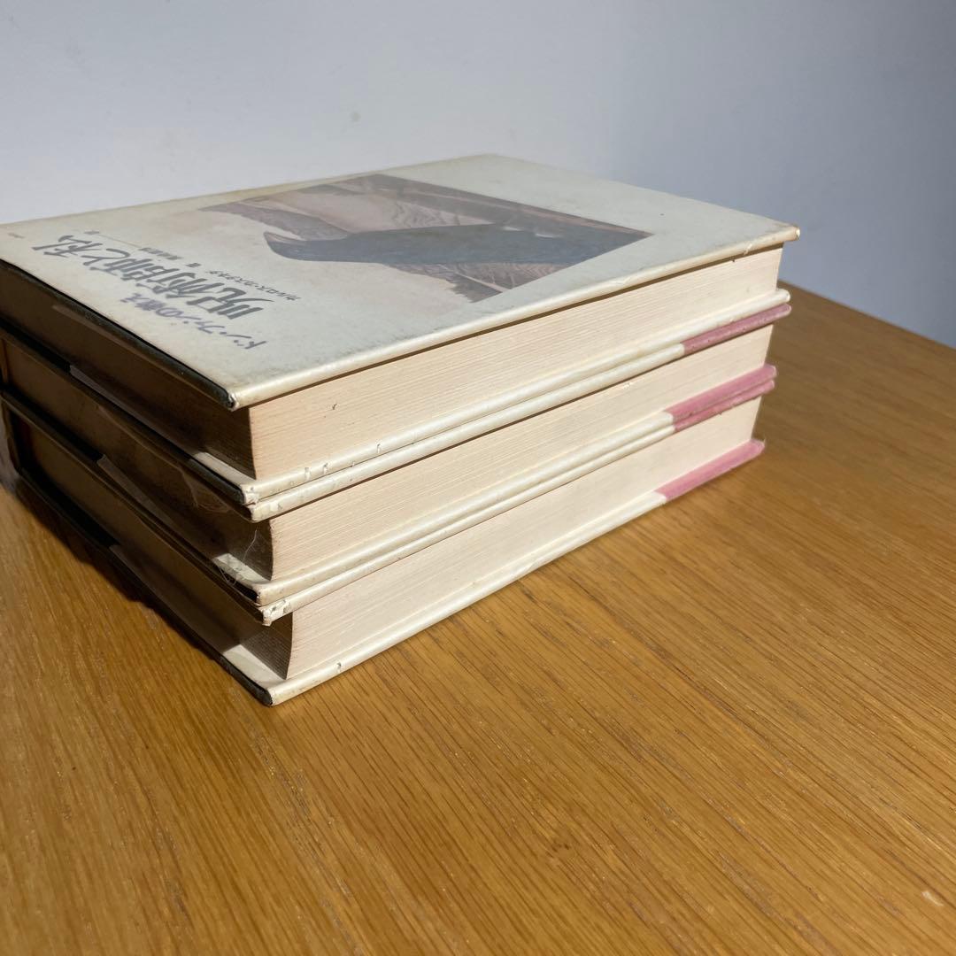 カルロス・カスタネダ 呪術の彼方へ・呪術の体験・呪術師と私　3冊セット