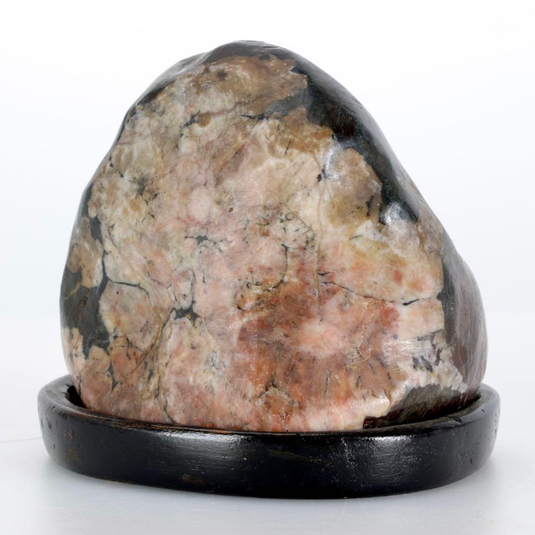 菊花石 菊紋石 紋石 台座付 635g 鑑賞石 原石 自然石 美石 小品盆栽