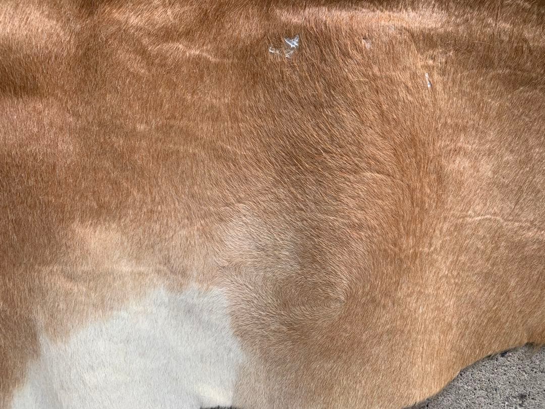 特大! ビンテージ 本革 カウラグ レザー ラグ