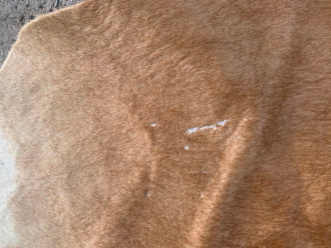 特大! ビンテージ 本革 カウラグ レザー ラグ