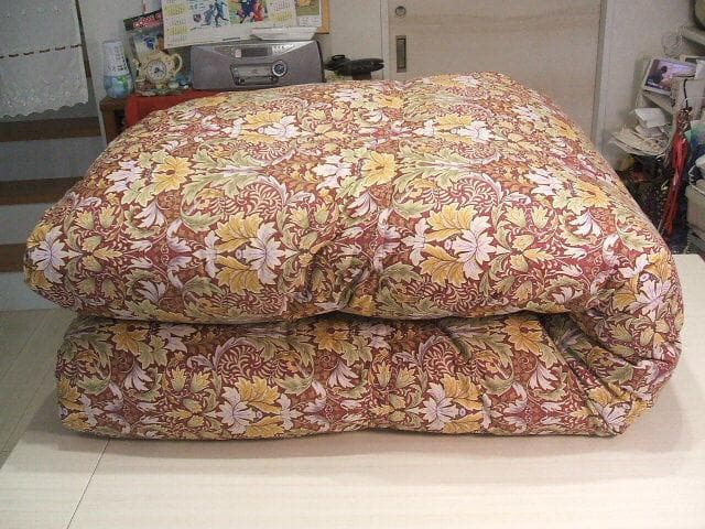 新品＊五つ星ゴールド＊グース（ガチョウ）＊ハンガリーグース９３％＊羽毛ふとんＤ