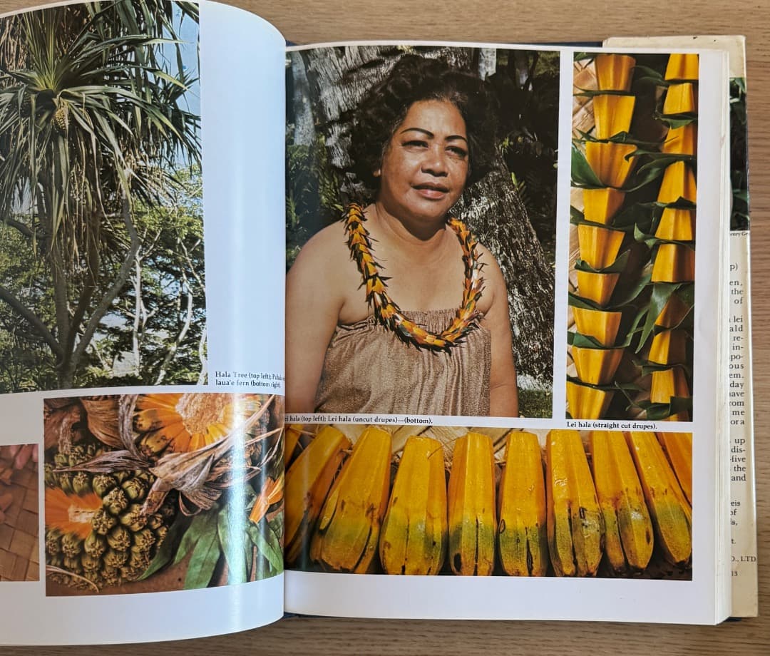 その他 Ka Lei The Lei Of Hawaii