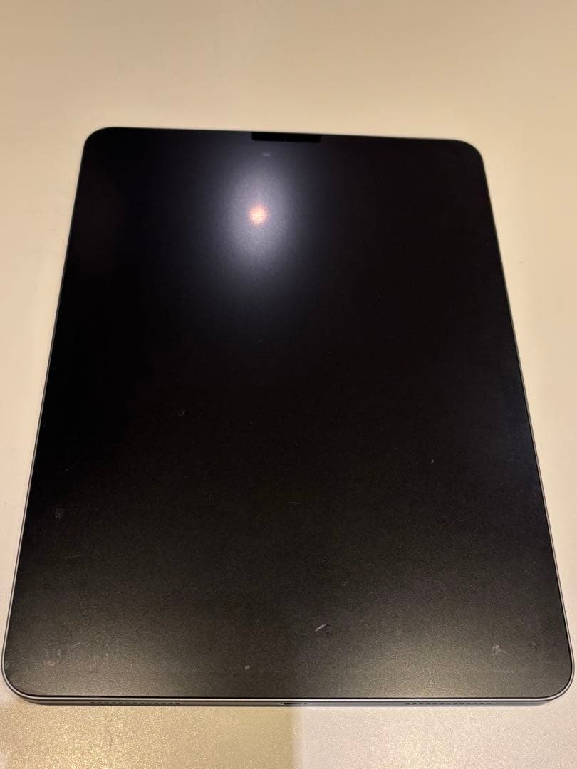 iPad Pro 11インチ (第1世代) Wi-Fiモデル 256GB