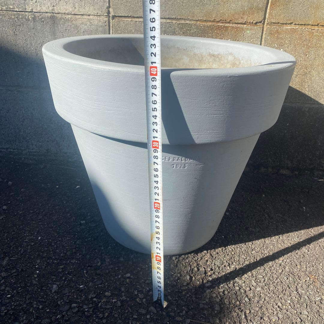 SERRALUNGA セラルンガ　　鉢　インテリア　観葉植物