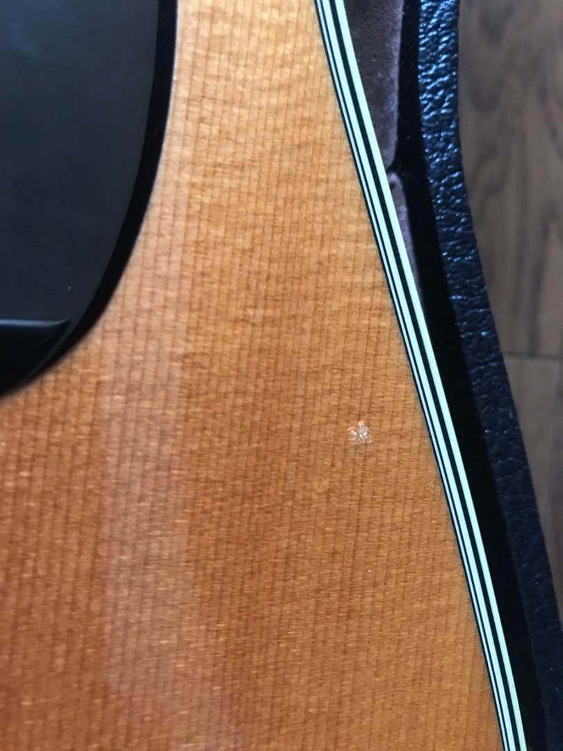 Martin CTM D-28 2007年製 D-45プレミアムシトカスプルース