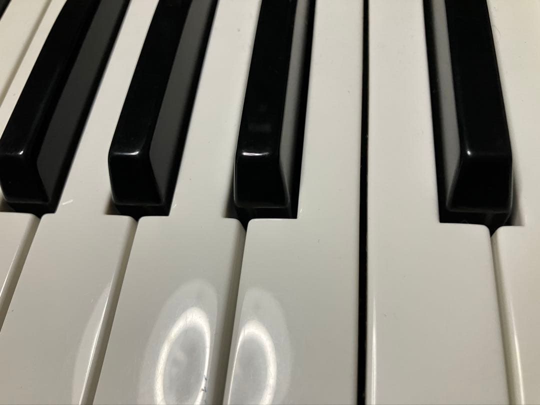 鍵盤楽器 novation bass station