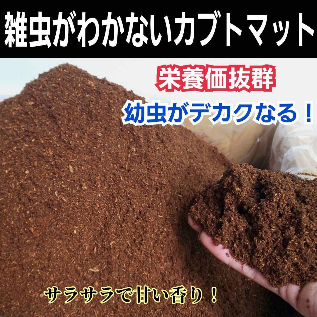 カブトムシの産卵に抜群！ヒマラヤひらたけ発酵マット【60L】雑虫がわきません！
