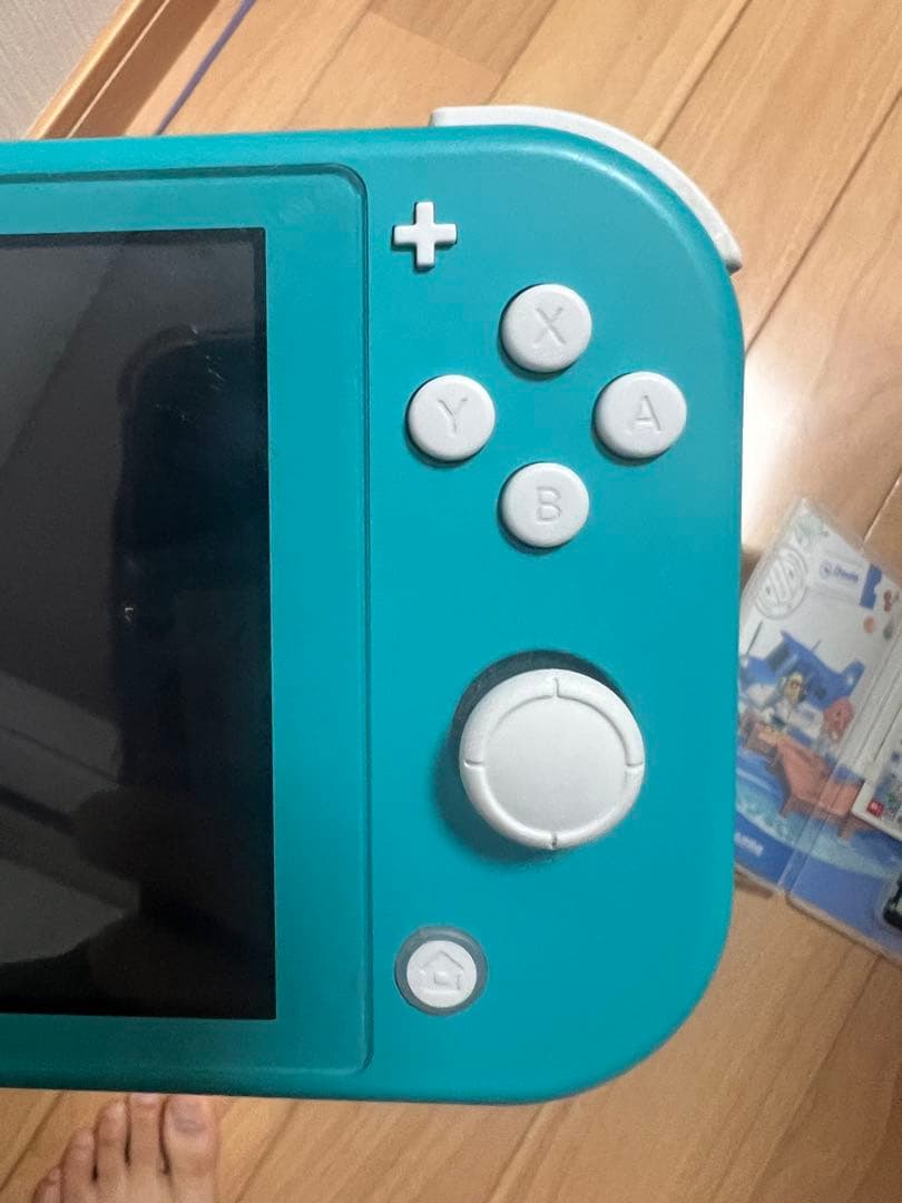 Switchライト美品　どうぶつの森カセット付