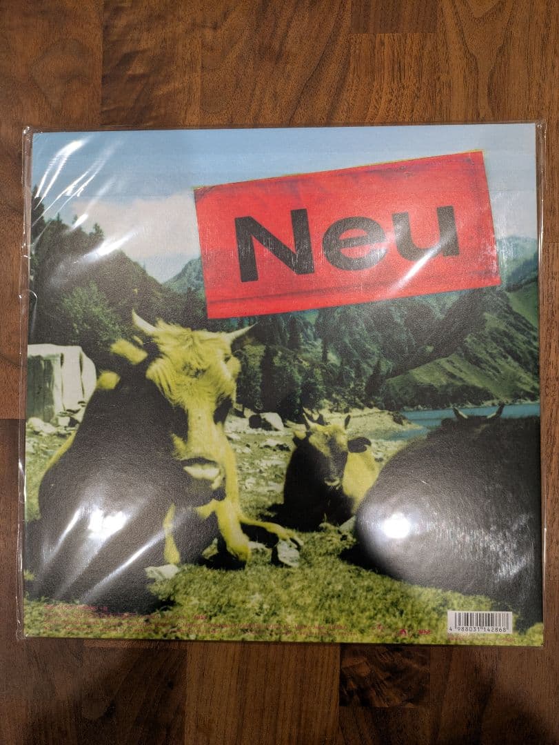 フィッシュマンズ fishmans レコード