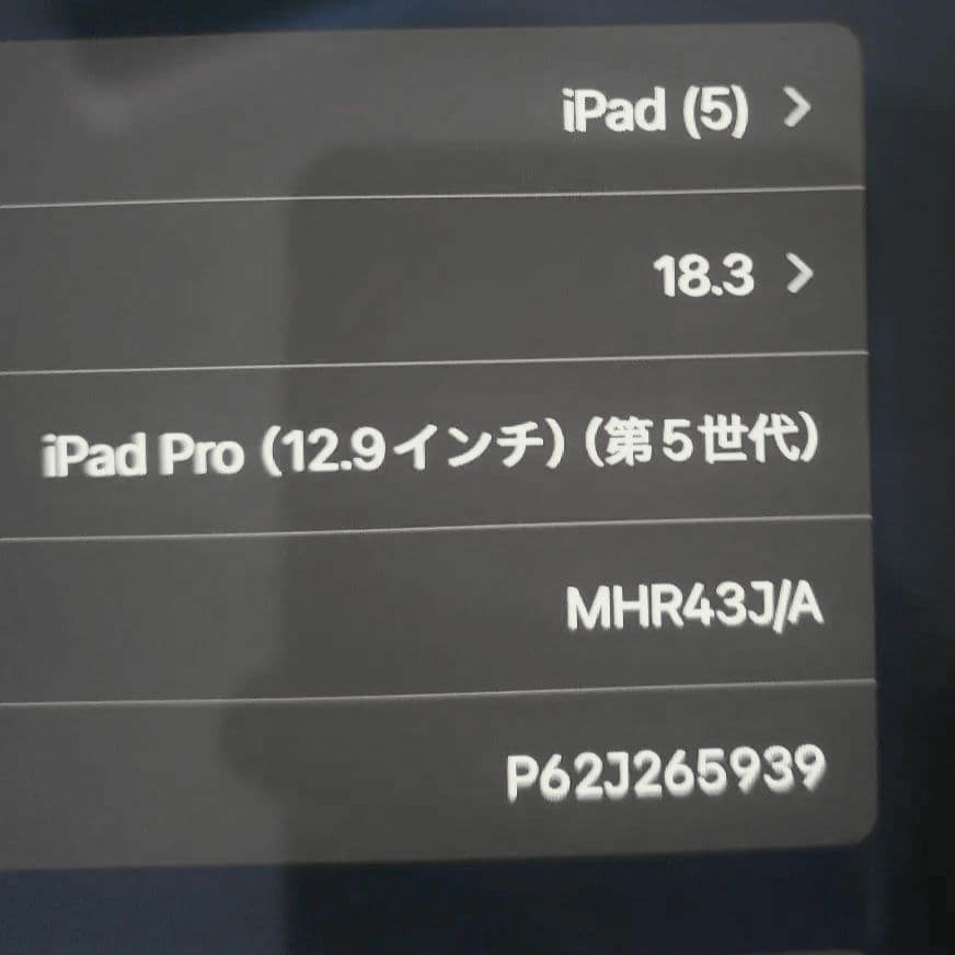 第5世代iPad Pro12.9インチセルラー+Applepencil 第2世代