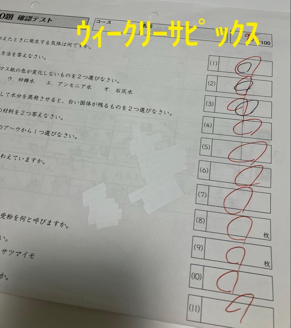 小6 理科 デイリーサピックス 24回分+春期講習•夏期講習 ウィークリーサピ他