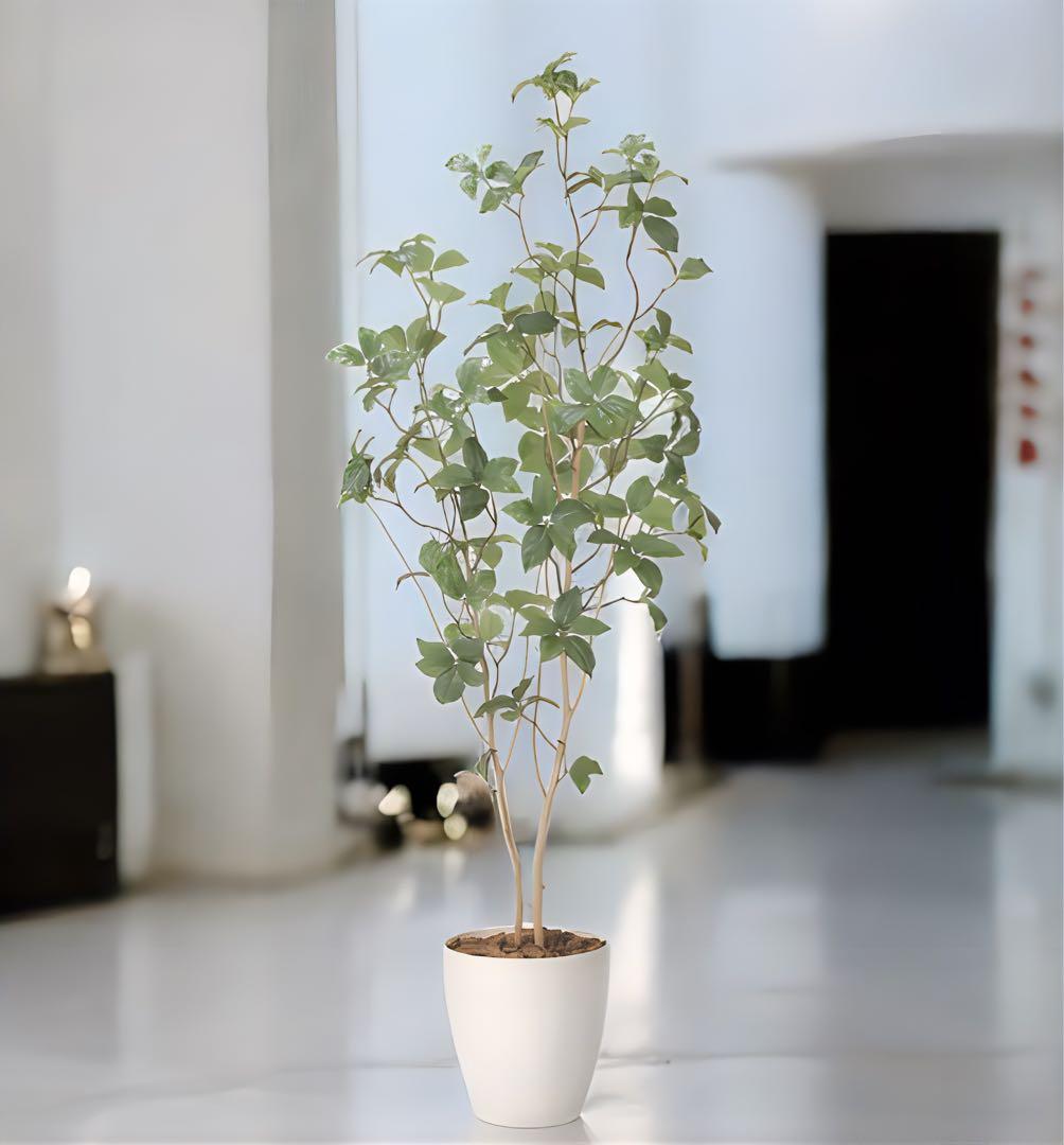 光触媒　人工観葉植物　ウォールグリーン　フェイクグリーン　サラサドウダン1.6