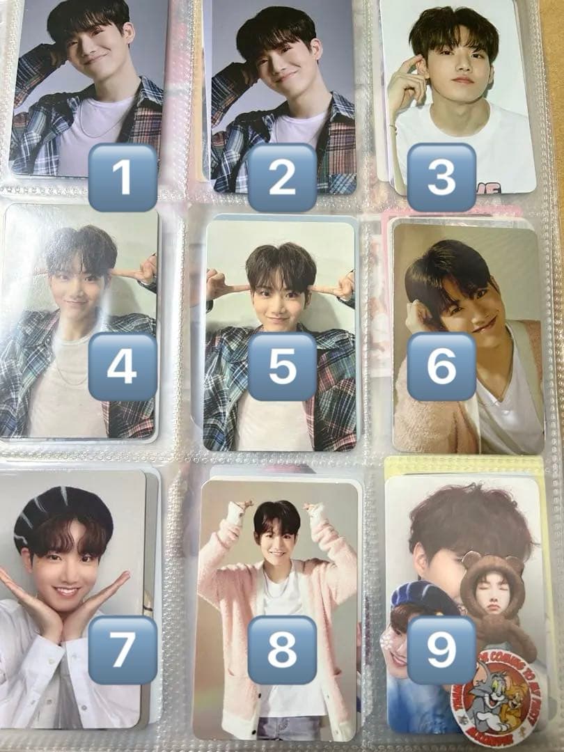 treasure トレカ ジュンギュ マシホ アサヒ