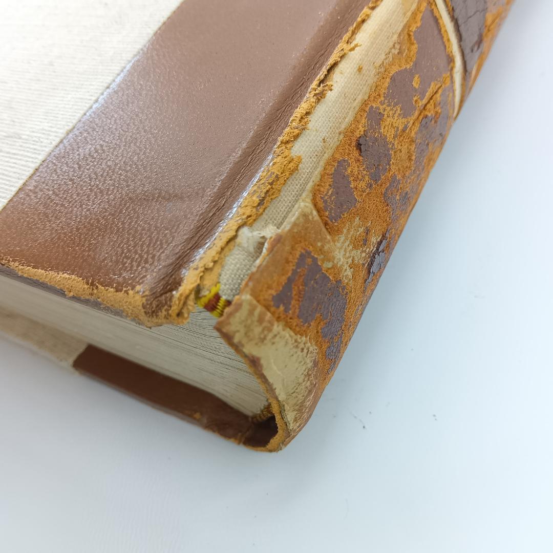 入手困難 大型本 ミケランジェロ デッサン画集 1965年 素描 図録