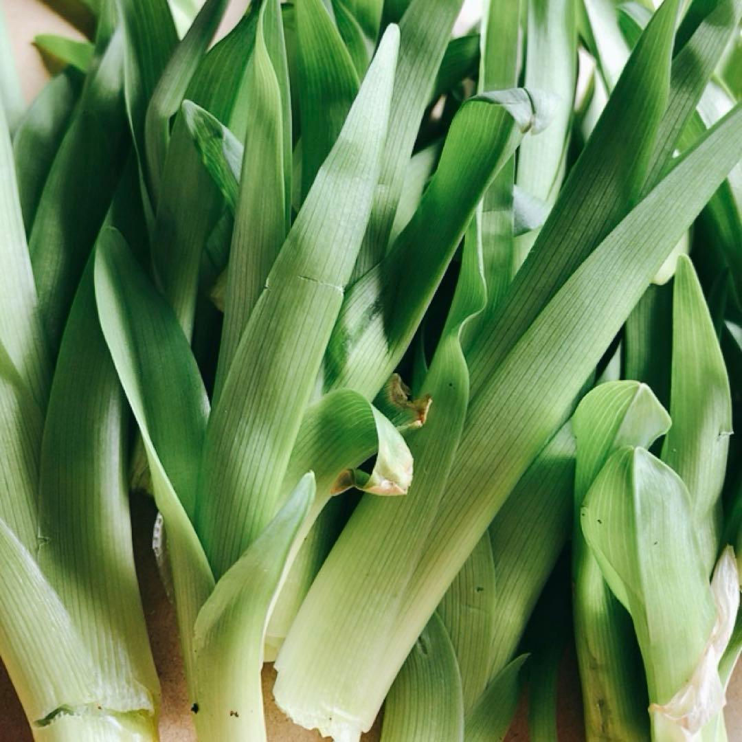 ノカンゾウ200g 　採取　当日発送　無農薬　山菜　新鮮