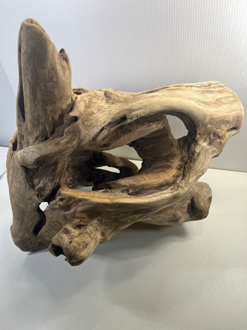 R79アク抜き済み流木 爬虫類シェルター 登り木 インテリア 生け花