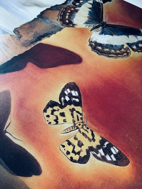 額装品/Paysage aux/サルバドール ダリ/アート/ポスター/インテリア