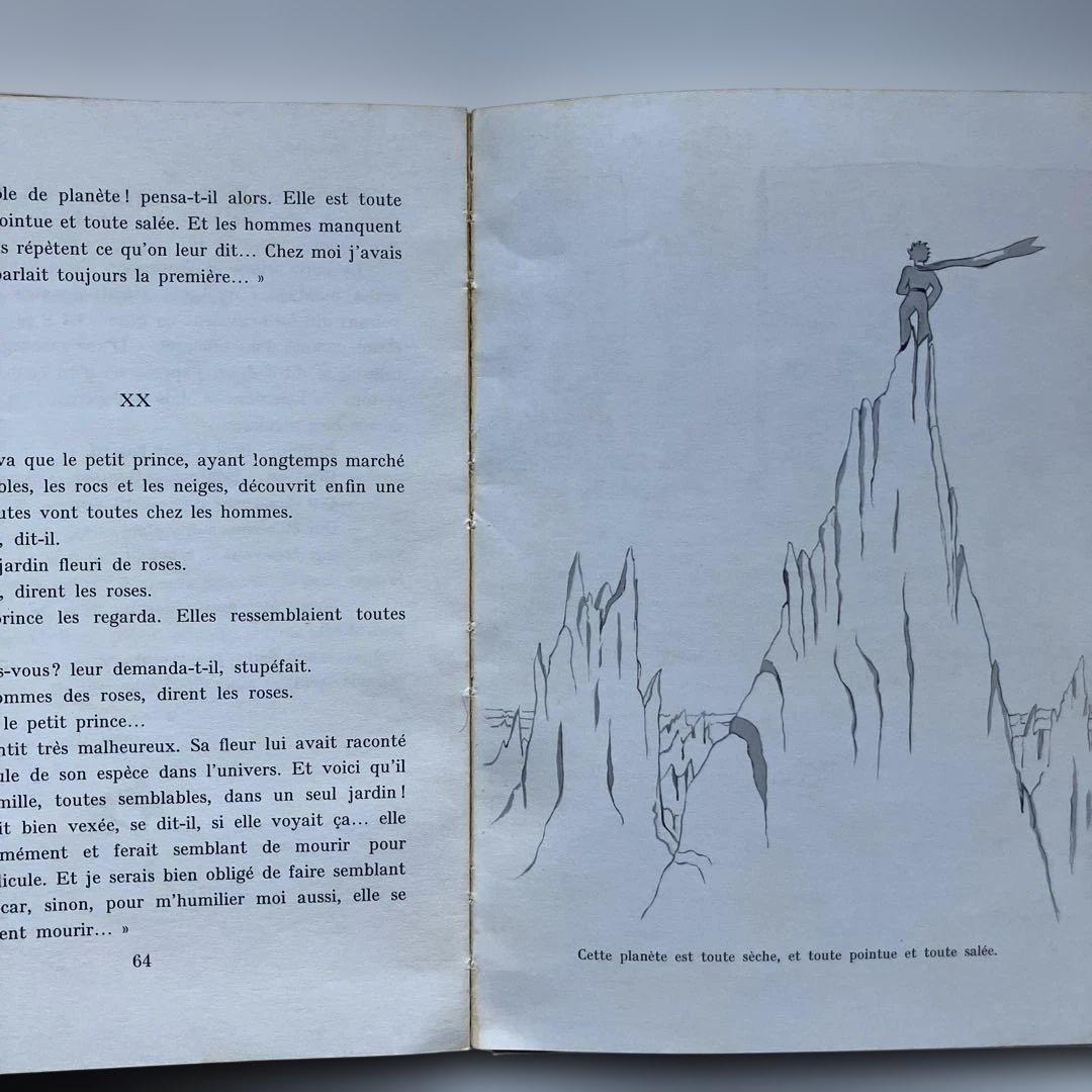 LE PETIT PRINCE 星の王子さま 洋書　フランス語