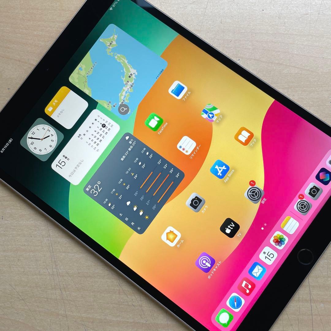iPad Pro 10.5インチ　A1701 スペースグレイ64GB 美品　#2