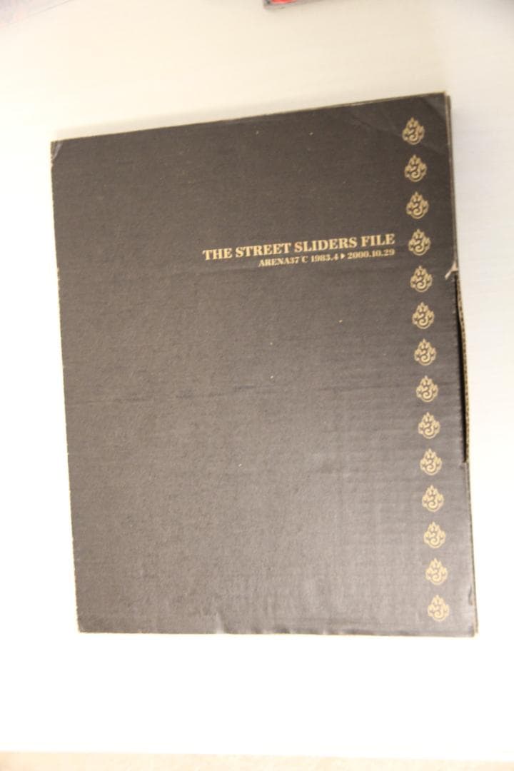 【希少美品】THE STREET SLIDERS FILE 「タイケリ」付属