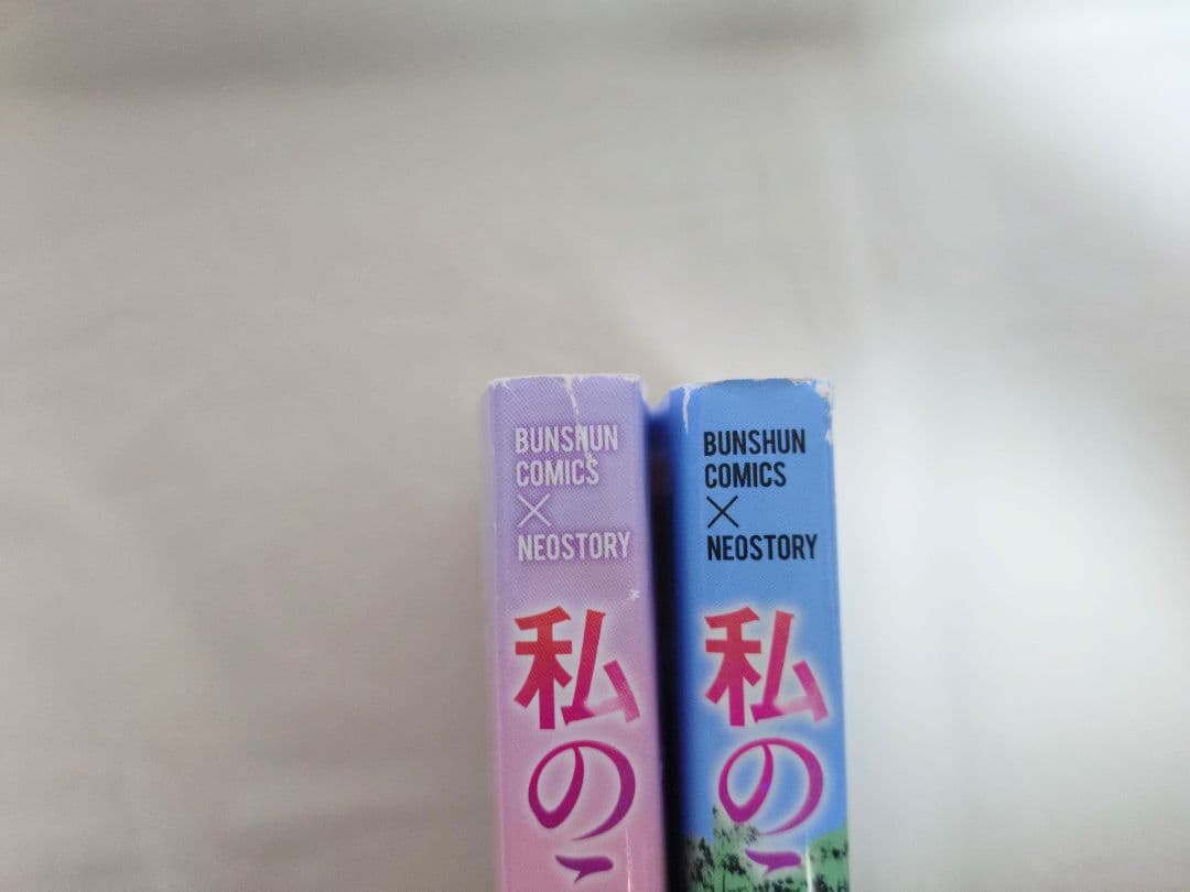 私のことを憶えていますか 1〜14巻 全巻セット 【完結】 東村アキコ