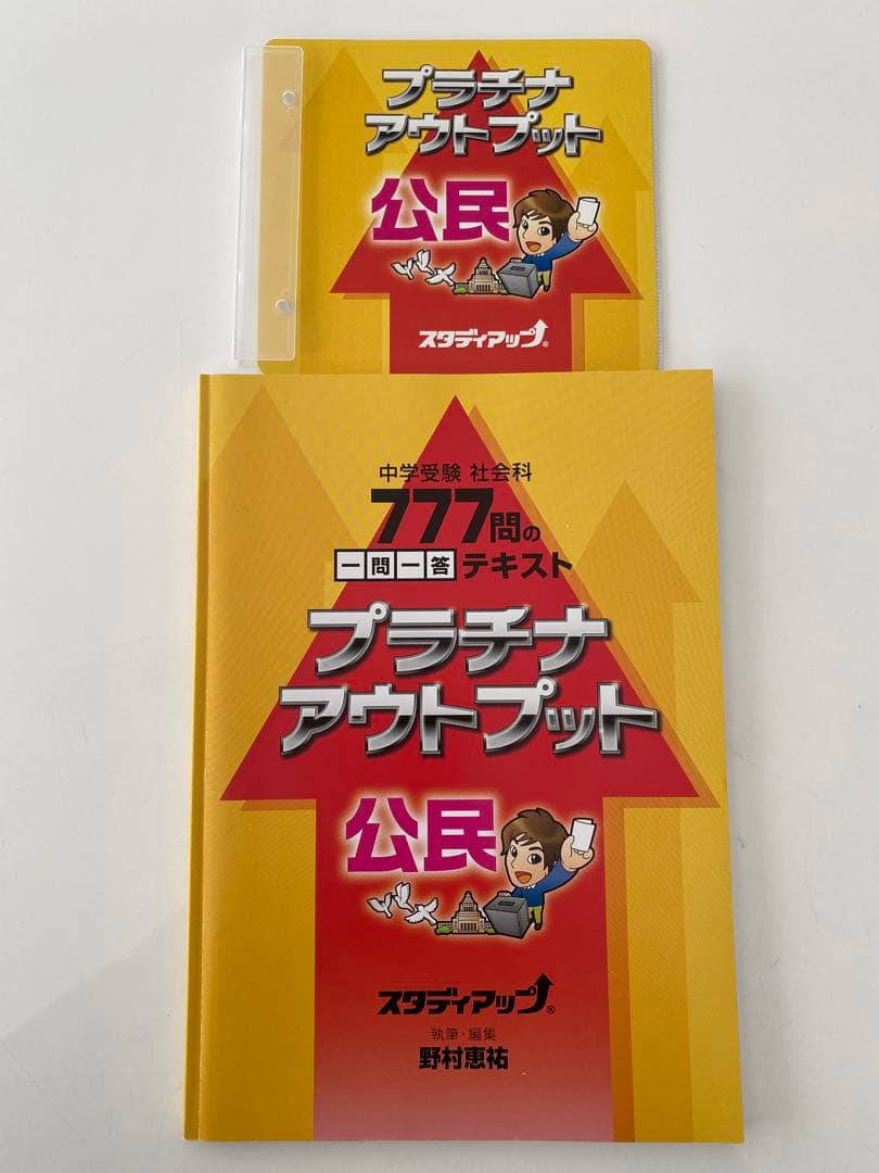 【ほぼ未使用】スタディアップ　プラチナインプット・アウトプット2024年