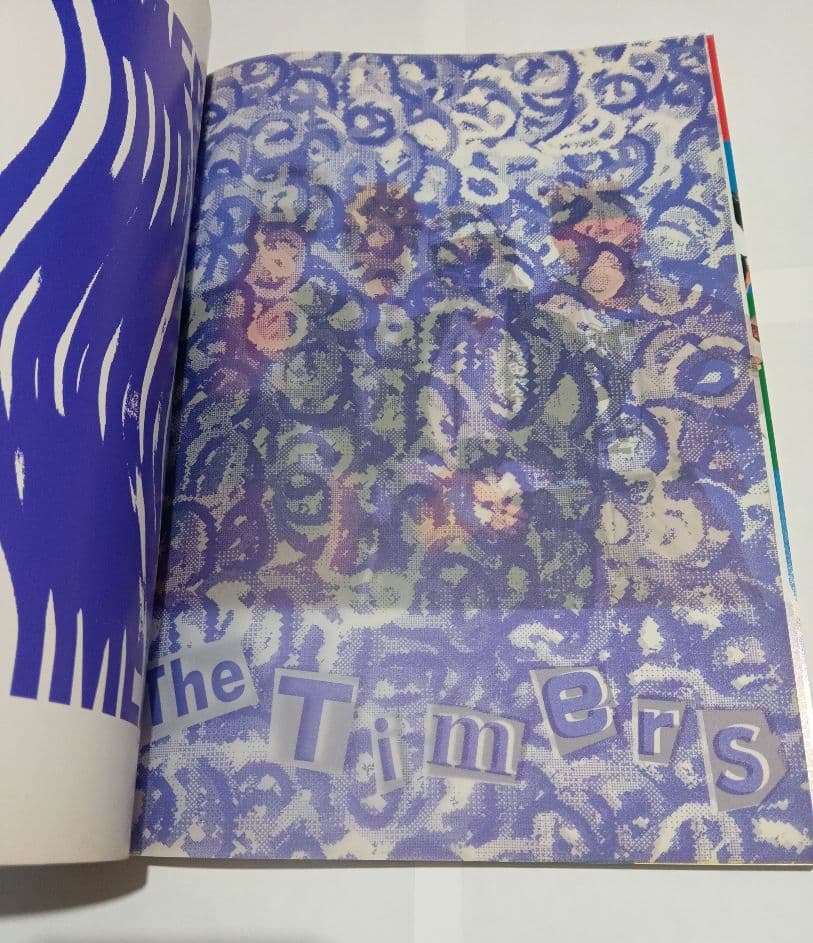 【最終値下げ】THE TIMERSタイマーズ バンドスコア 忌野清志郎