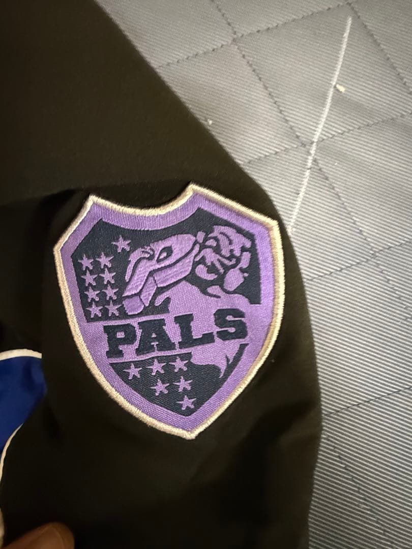 PALACE PROTEAM ジャケット Lサイズ 黒/青