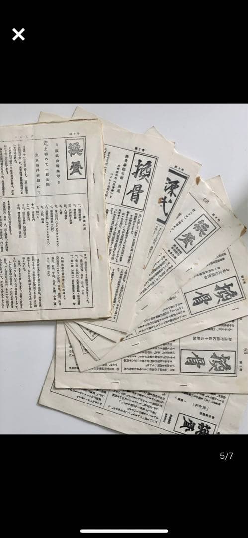 【超希少】堀辺 正史　換骨拳　骨法　セット　拳法　武術　合気道　秘術